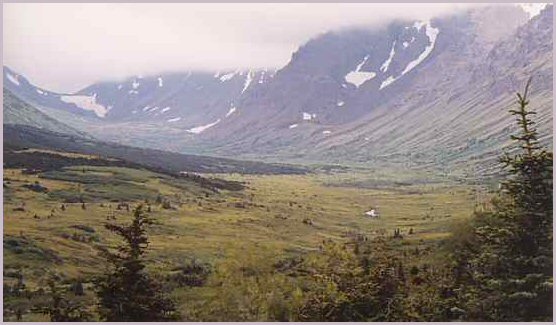 Powerline Trail, Anchorage, Alaska